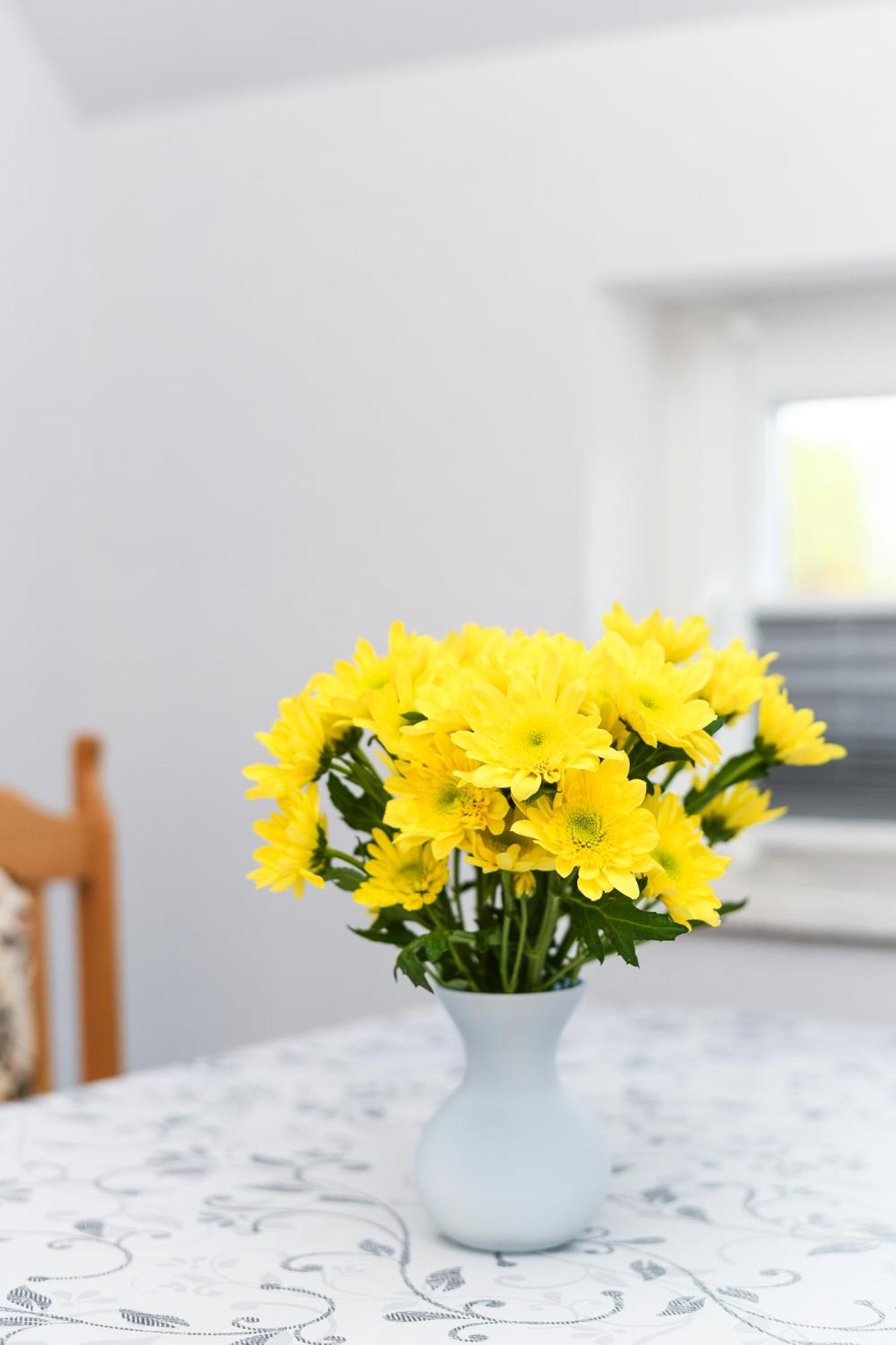 Ferienwohnung Nordmoor 博伦博格 外观 照片